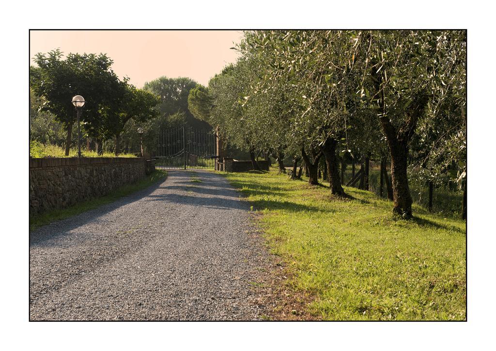 B&B Casale Virgili เซียนา ภายนอก รูปภาพ